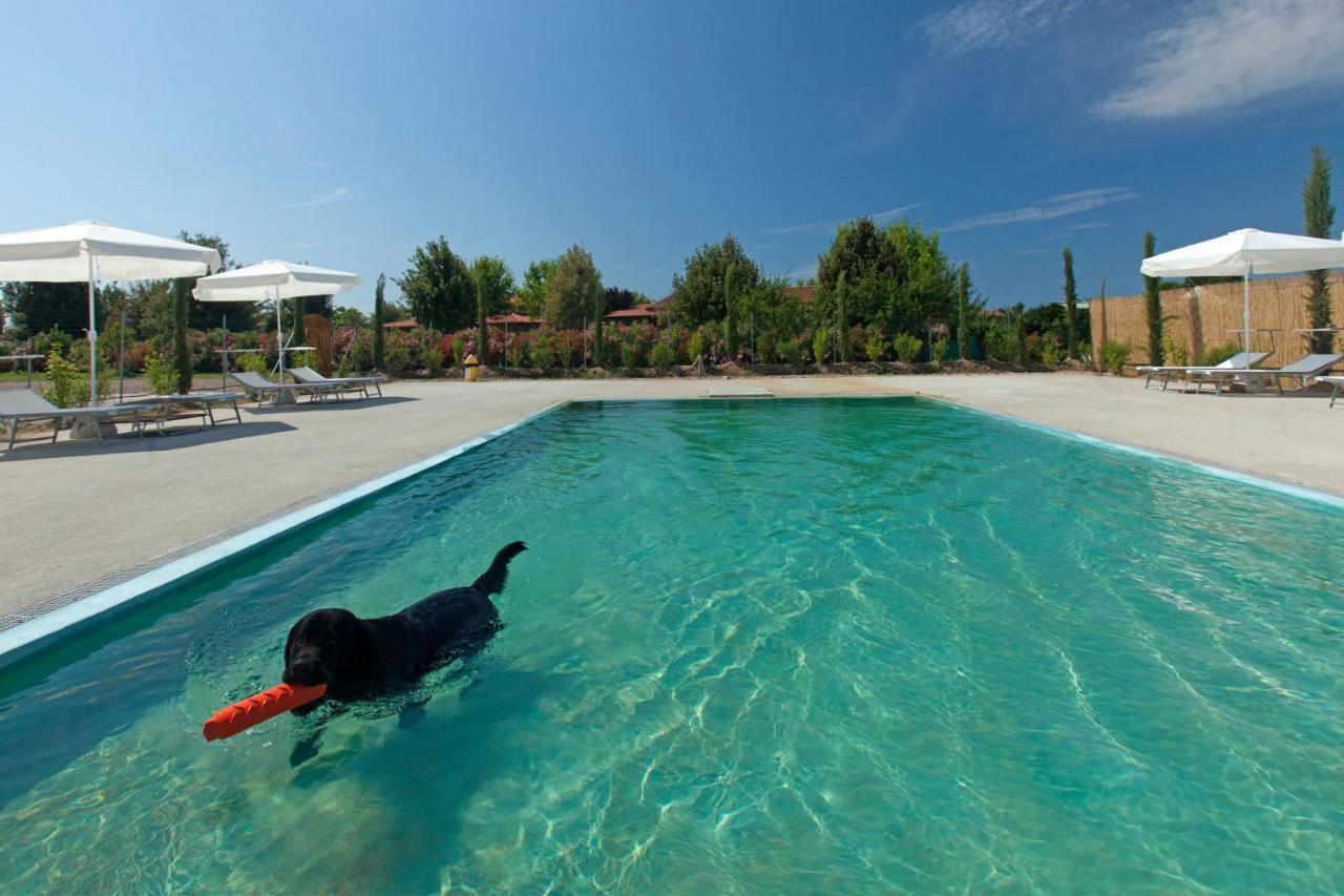 Fattoria Maremmana Aparthotel Marina di Grosseto Eksteriør bilde