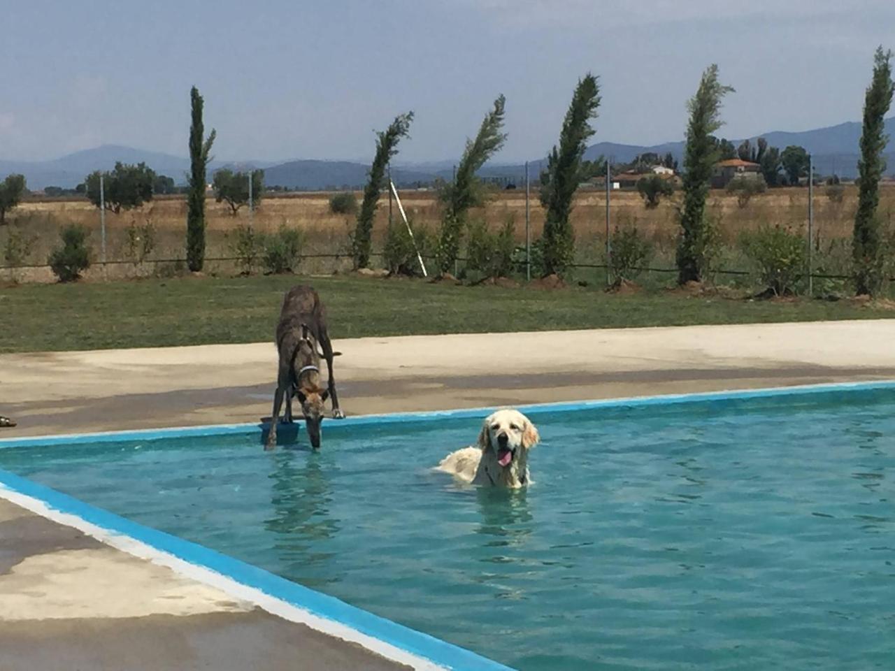 Fattoria Maremmana Aparthotel Marina di Grosseto Eksteriør bilde